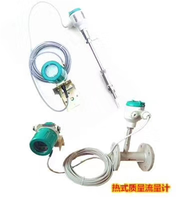 進口熱式質量流量計品牌