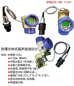 防爆分體式超聲波液位計